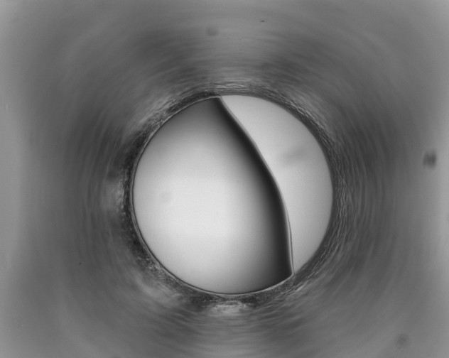 X0000090710595200707200953
