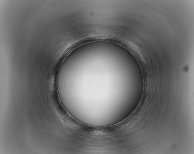 X0000090710596200707200953