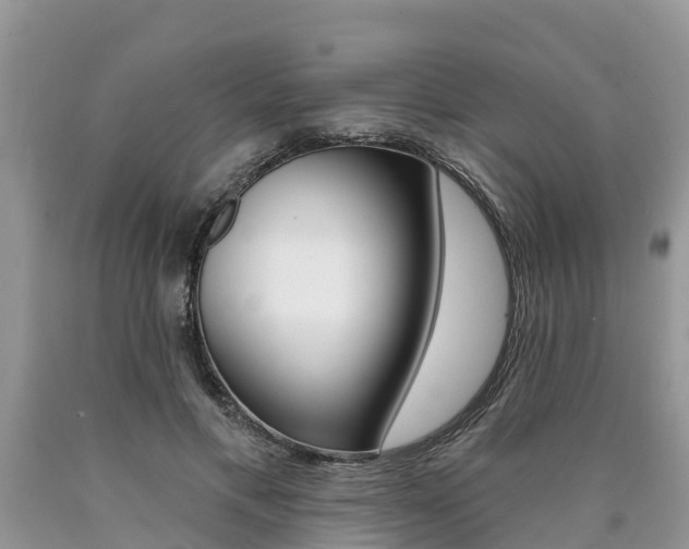 X0000090710597200707200953
