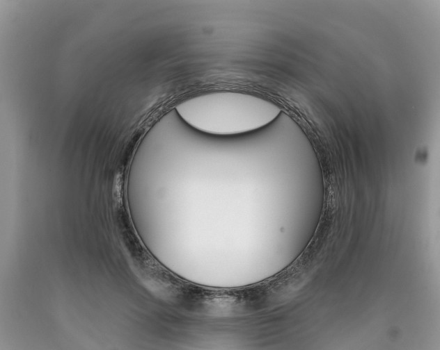 X0000090710598200707200953
