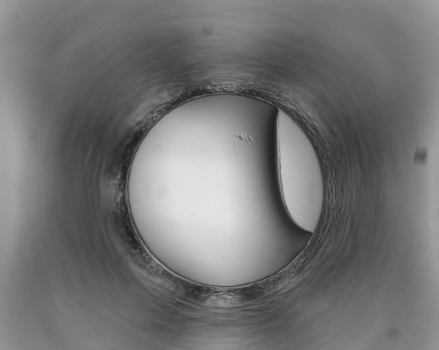X0000090710599200707200953