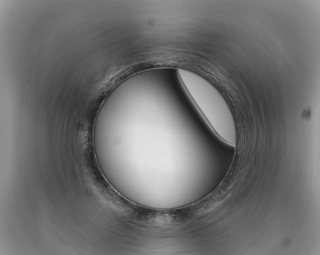 X0000090710600200707200953