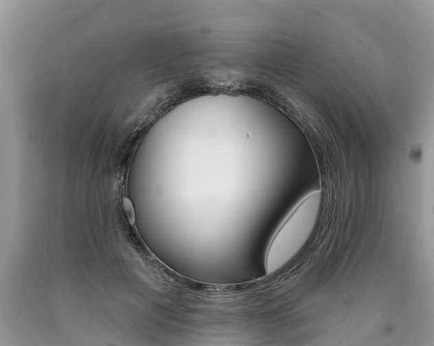 X0000090710601200707200953