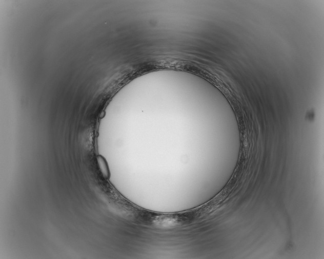 X0000090710602200707200953