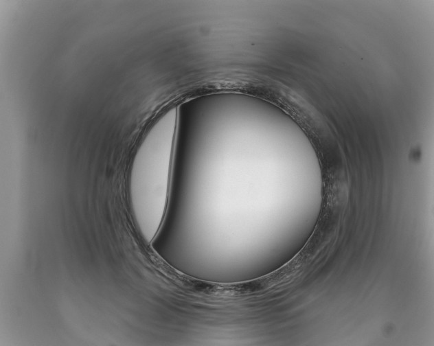 X0000090710604200707200953