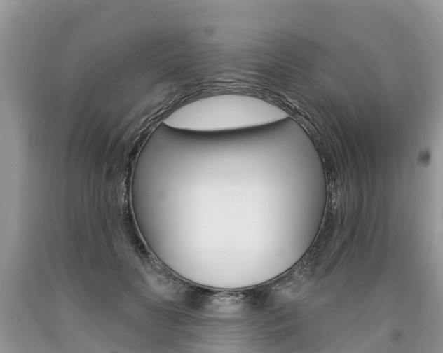 X0000090710606200707200953