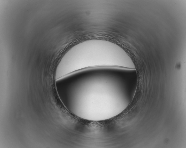 X0000090710608200707200953