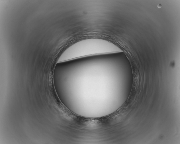 X0000090710609200707200953