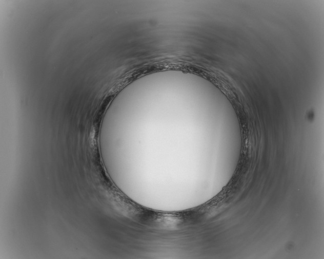 X0000090710610200707200953