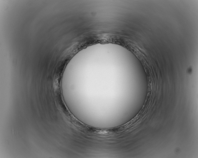X0000090710611200707200953