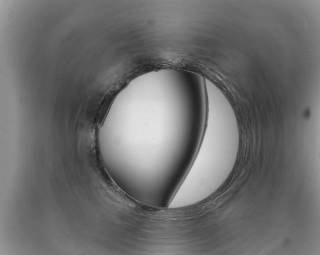 X0000090710613200707200953
