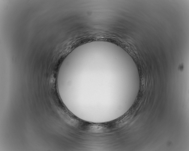 X0000090710614200707200953