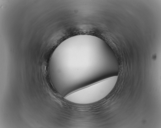 X0000090710615200707200953