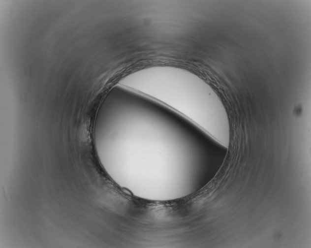 X0000090710616200707200953