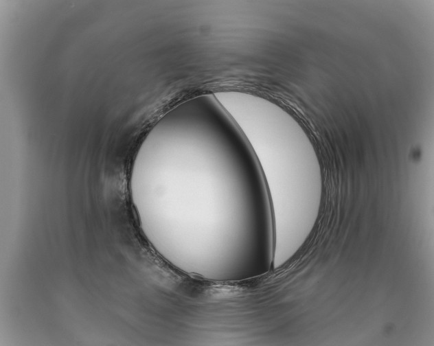 X0000090710617200707200953