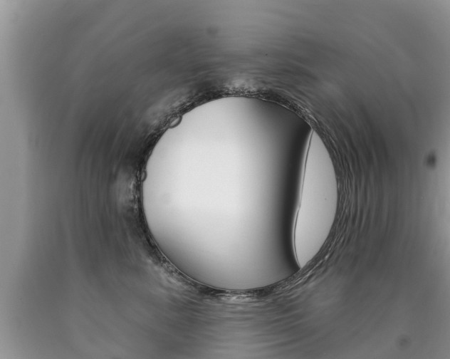 X0000090710619200707200953