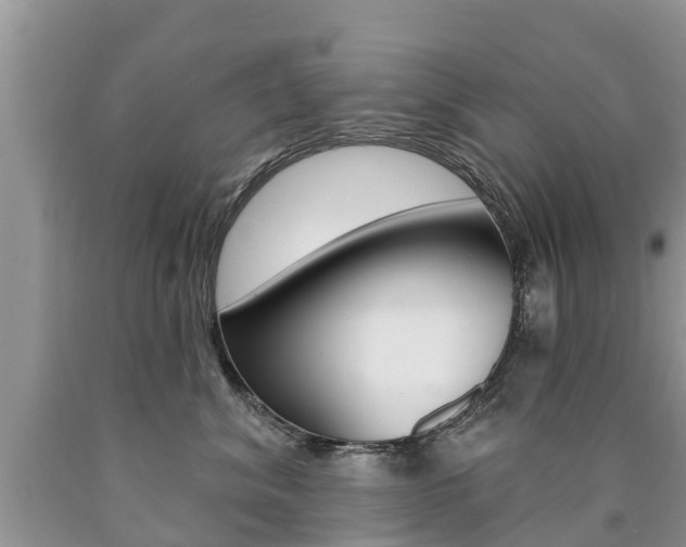 X0000090710620200707200953