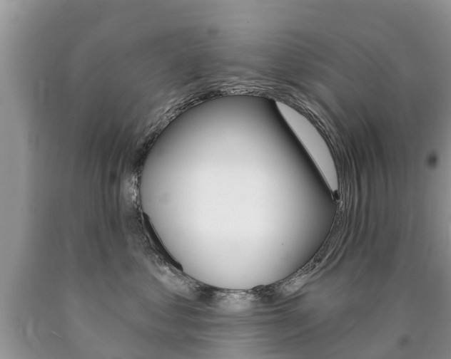 X0000090710621200707200953