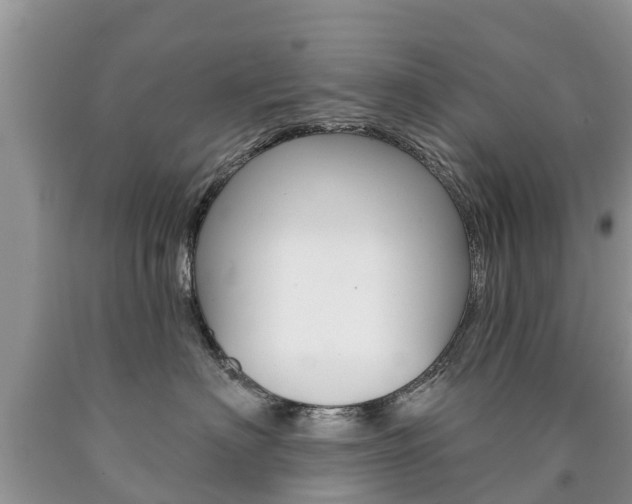 X0000090710622200707200953