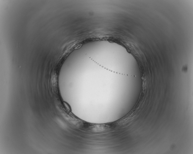 X0000090710623200707200953