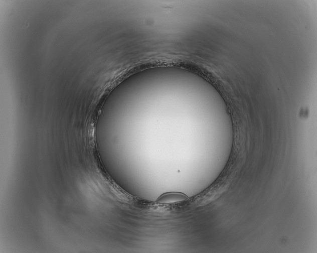 X0000090710624200707200953
