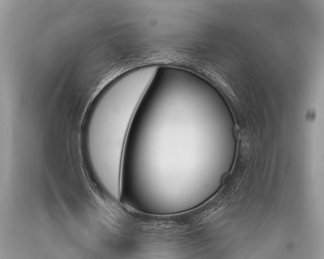 X0000090710626200707200952