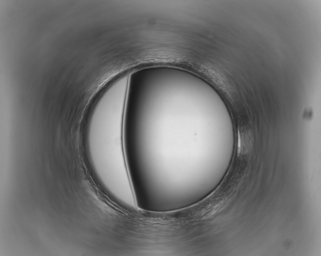 X0000090710627200707200952
