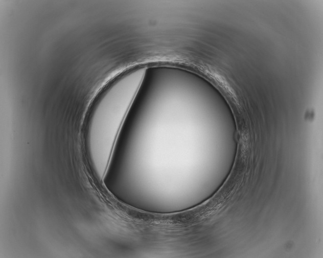 X0000090710628200707200952