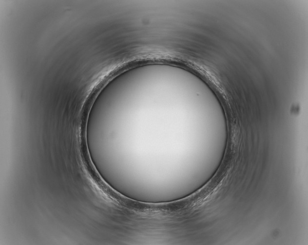 X0000090710629200707200952