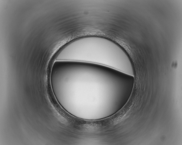 X0000090710630200707200952