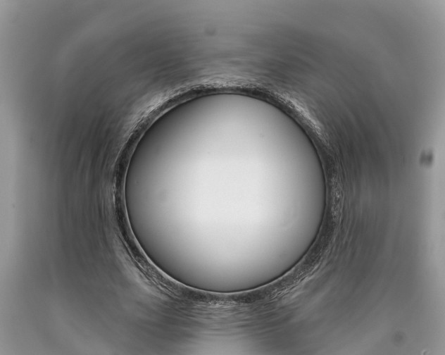 X0000090710631200707200952