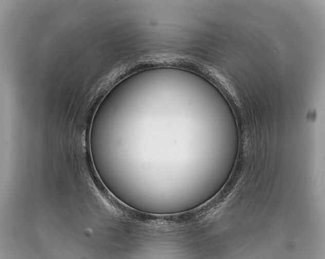 X0000090710633200707200952