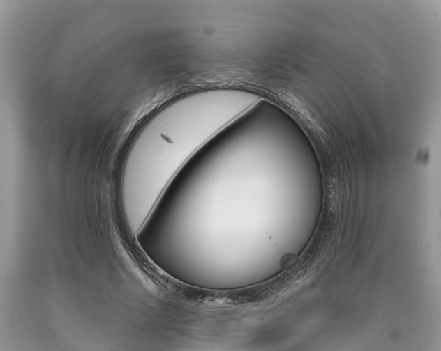 X0000090710634200707200952