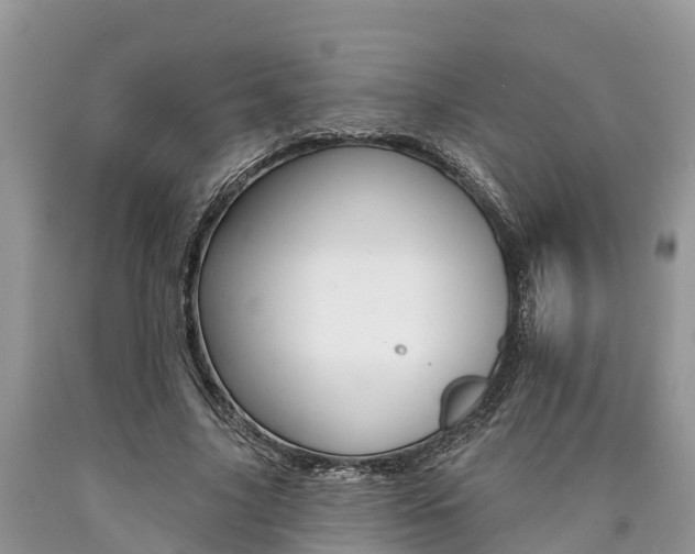 X0000090710635200707200952