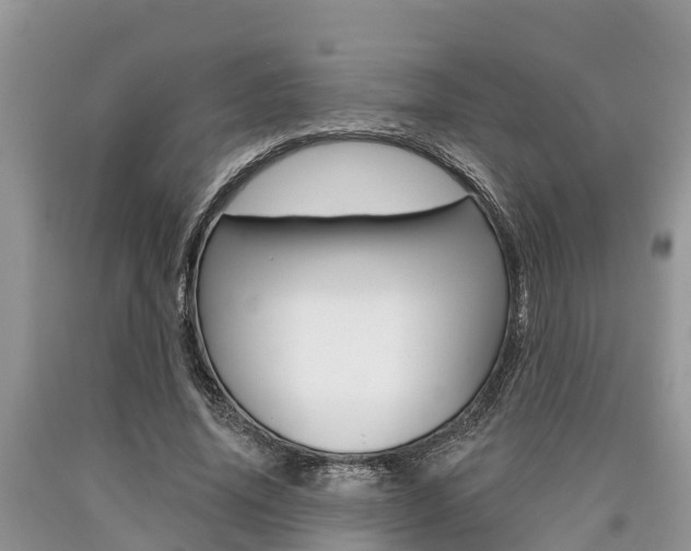 X0000090710636200707200952