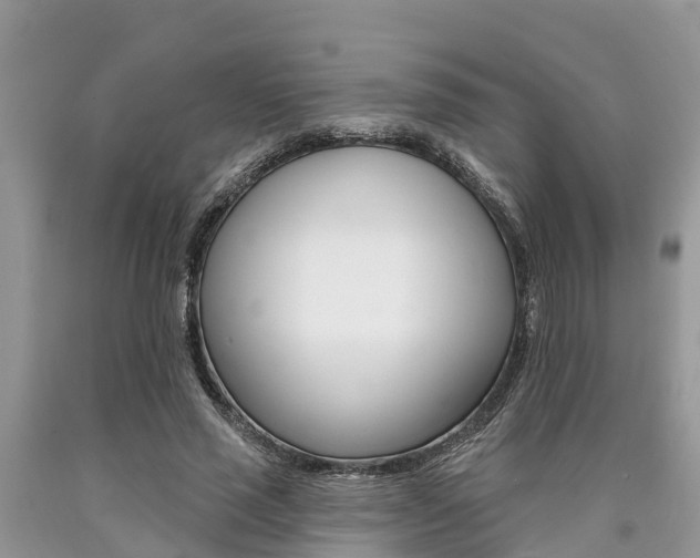 X0000090710637200707200952