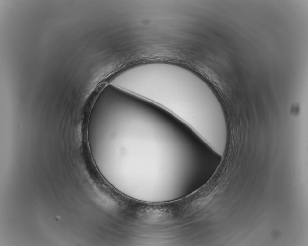 X0000090710638200707200952