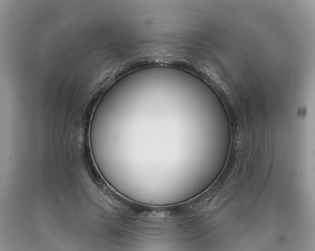 X0000090710639200707200952