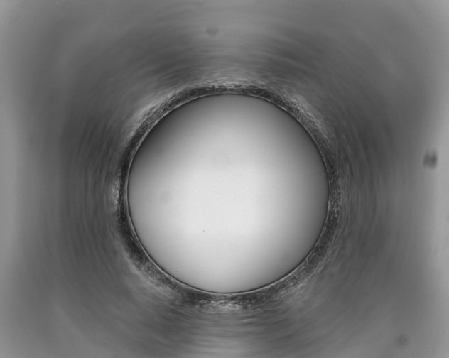 X0000090710640200707200952