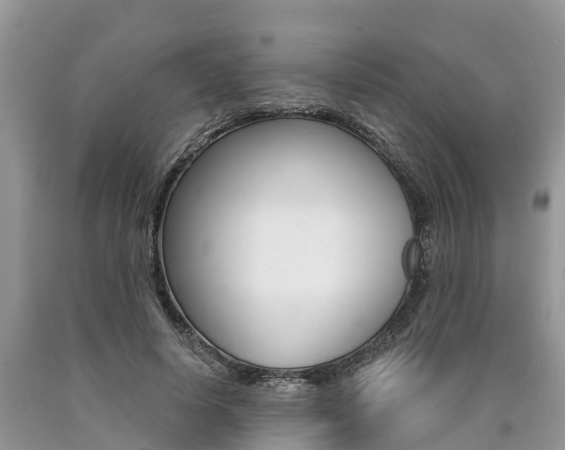 X0000090710642200707200952