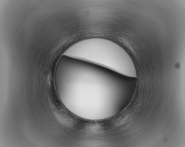 X0000090710643200707200952