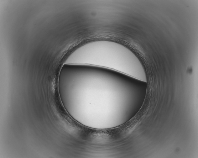 X0000090710644200707200952