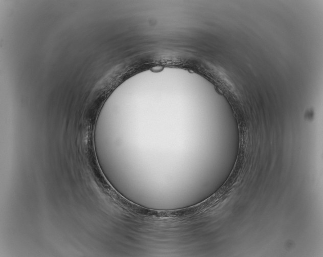 X0000090710645200707200952