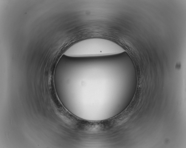 X0000090710646200707200952
