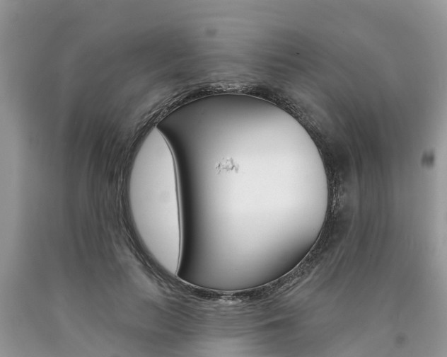 X0000090710647200707200952