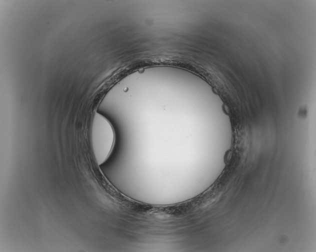 X0000090710648200707200952