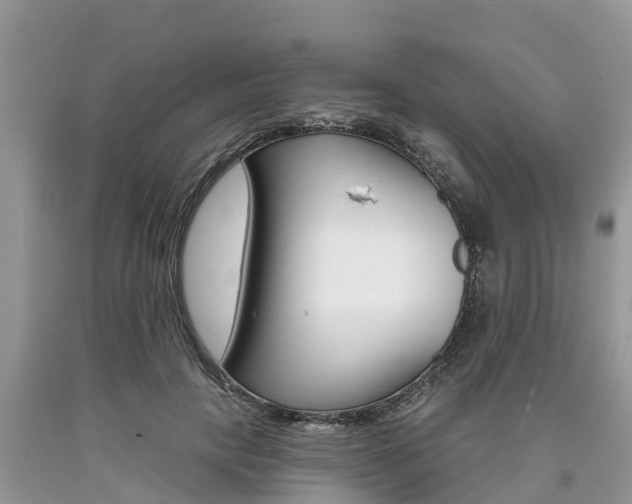 X0000090710649200707200952
