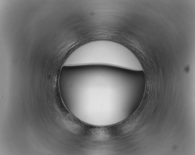 X0000090710652200707200952
