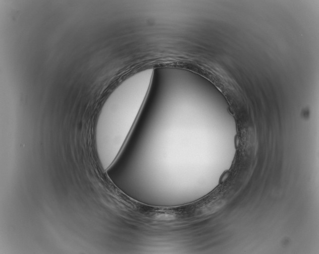 X0000090710653200707200952