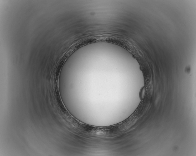 X0000090710655200707200952